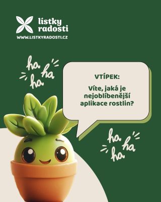 A víte, jaká je nejoblíbenější aplikace rostlin? 📲🌿 Zjisti na druhé straně carouselu! #plantjokes #plantfunny #pokojovky...